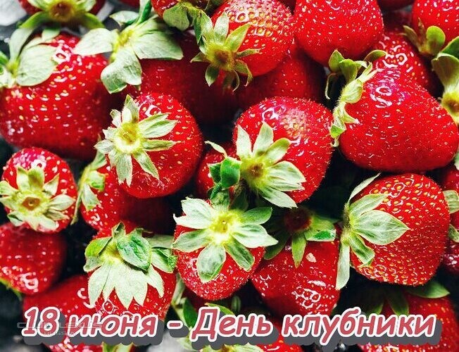 Обо всем №638 БанноПарная Обо всем №638 БанноПарная
