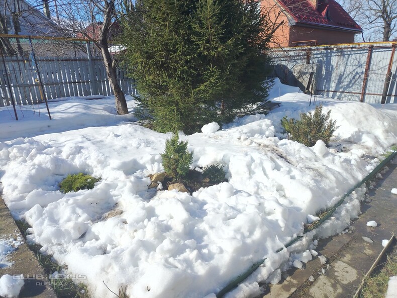 Обо всем №635 АльтернативноЭтологическая Обо всем №635 АльтернативноЭтологическая