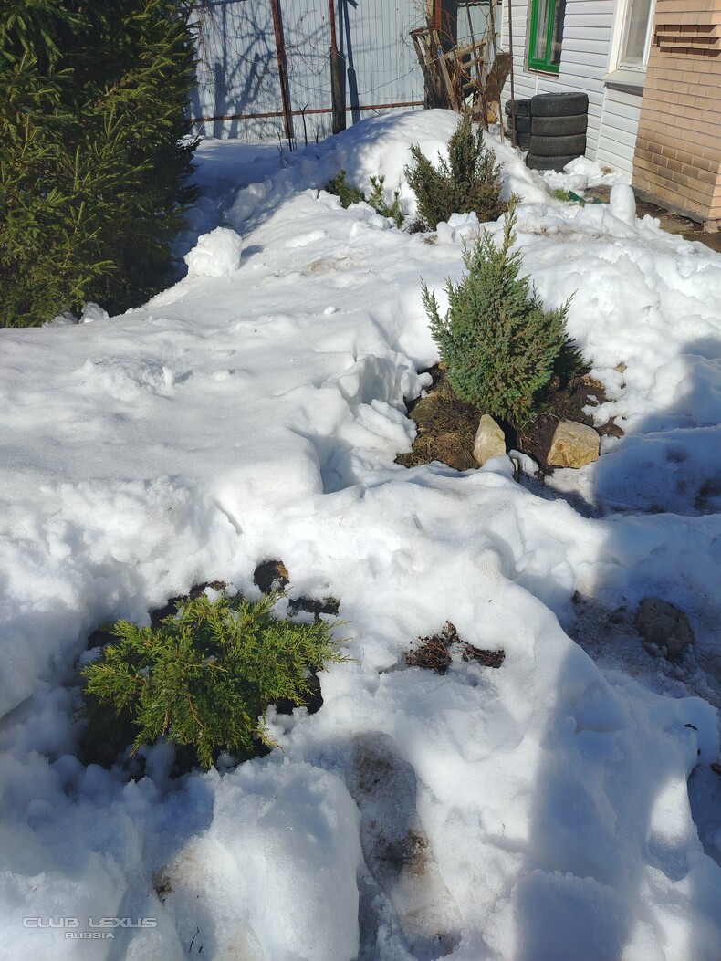Обо всем №635 АльтернативноЭтологическая Обо всем №635 АльтернативноЭтологическая