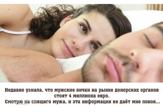 8695b73c42b6df15452876190b229d02.jpg
