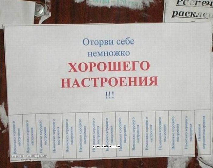 Пожелание хорошего дня юмор Пожелание хорошего дня юмор