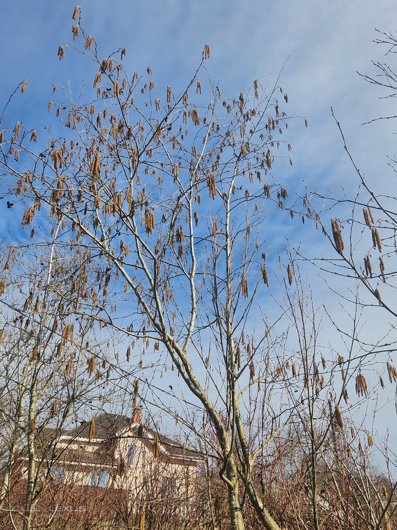 Обо всем №635 АльтернативноЭтологическая Обо всем №635 АльтернативноЭтологическая