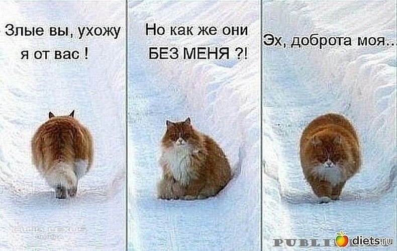 Картинки Кот Не Уходи На Работу