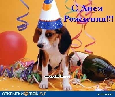 Провинциал , Dik , Ksyunya! C днем рождения! Провинциал , Dik , Ksyunya! C днем рождения!