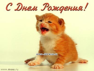 KOT RX с днем рождения! KOT RX с днем рождения!