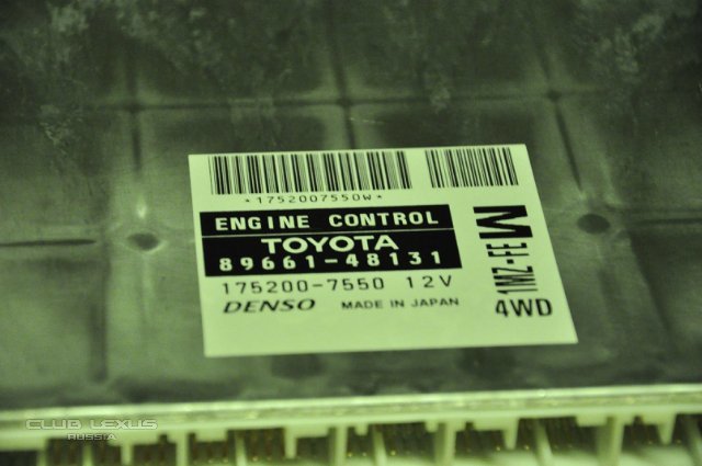 комплект личинокLX470 , мозг на RX300 комплект личинокLX470 , мозг на RX300