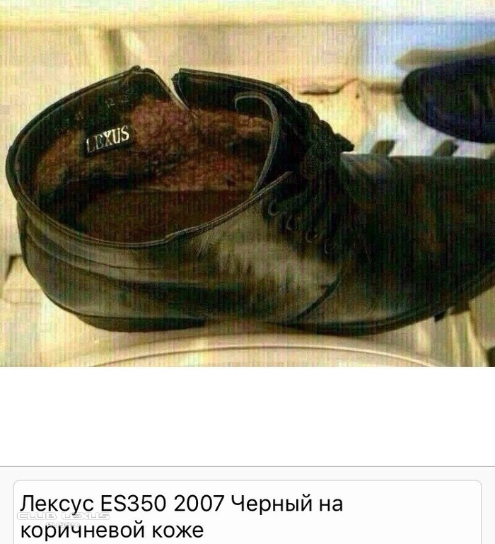 Хороший аксессуар к лексусу Хороший аксессуар к лексусу
