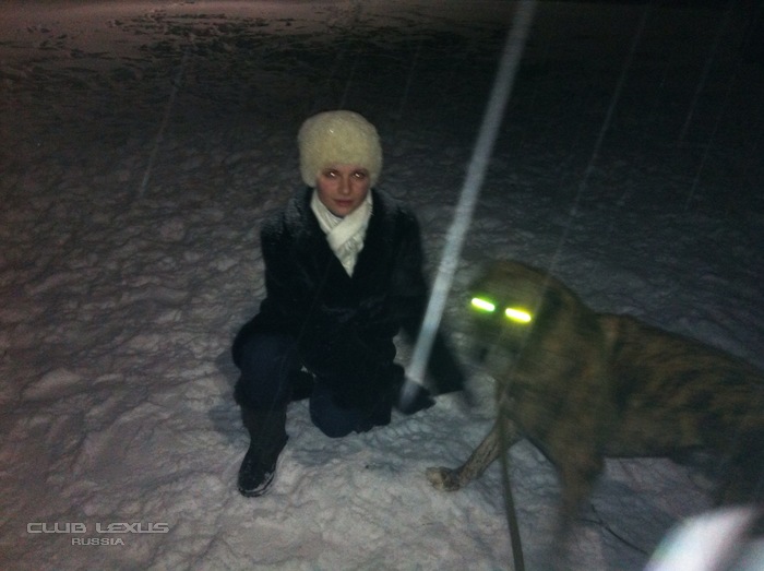Поздравления соклубников с Новым, 2013 годом Поздравления соклубников с Новым, 2013 годом