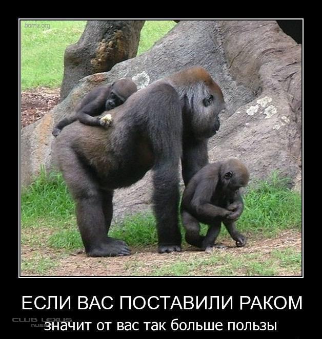 Поболтать и поржать...ни о чем))))) Поболтать и поржать...ни о чем)))))