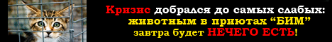 Голодающим зверям в приютах нужна наша помощь! Голодающим зверям в приютах нужна наша помощь!