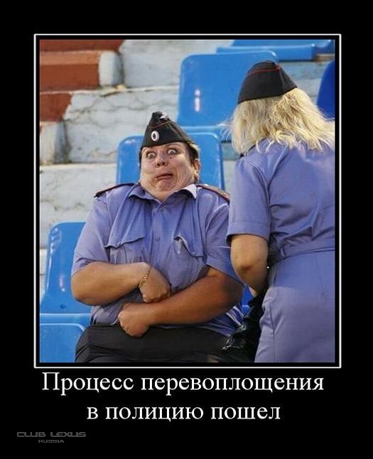 Господин полицейский Господин полицейский