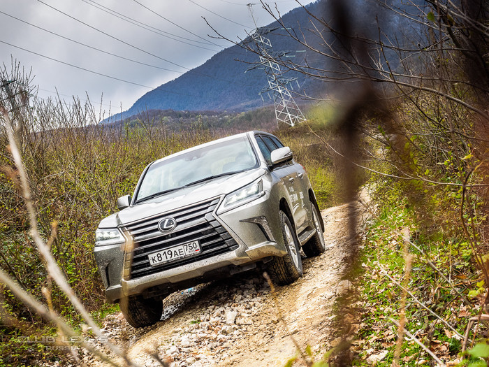 Lexus Live в Сочи: Тест-драйв на трассе F1 и не только Lexus Live в Сочи: Тест-драйв на трассе F1 и не только
