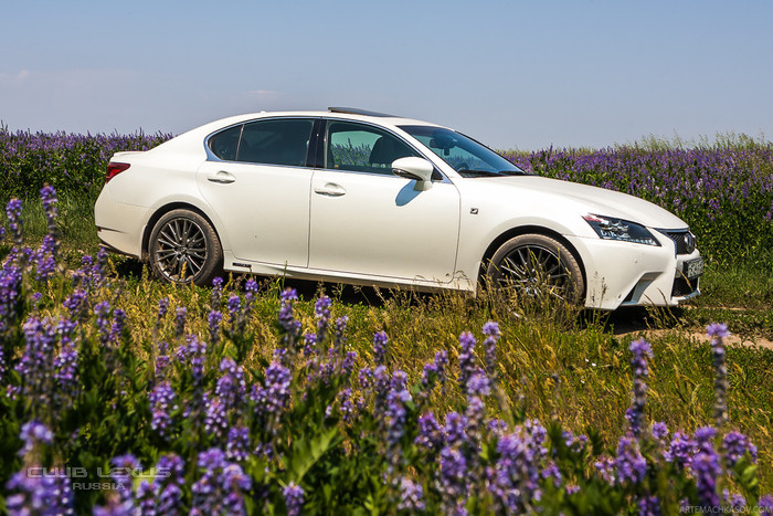 Lexus GS450h F SPORT клубный тест-драйв Lexus GS450h F SPORT клубный тест-драйв