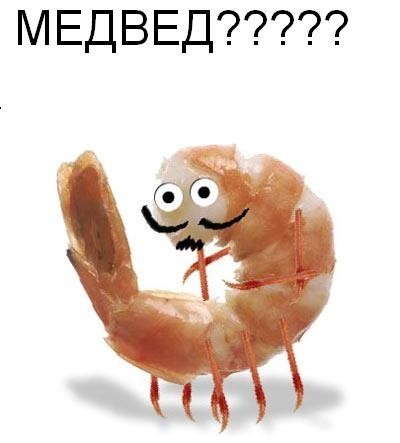Сегодня бы в кино без пива но с креветкой! Сегодня бы в кино без пива но с креветкой!
