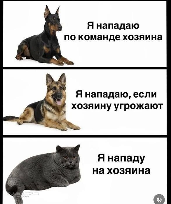 ��� ���� �637 ����������������