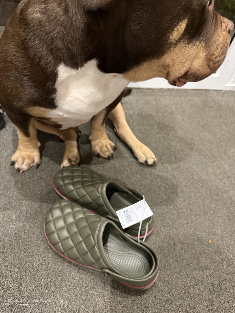��� ���� �640 ��������������������