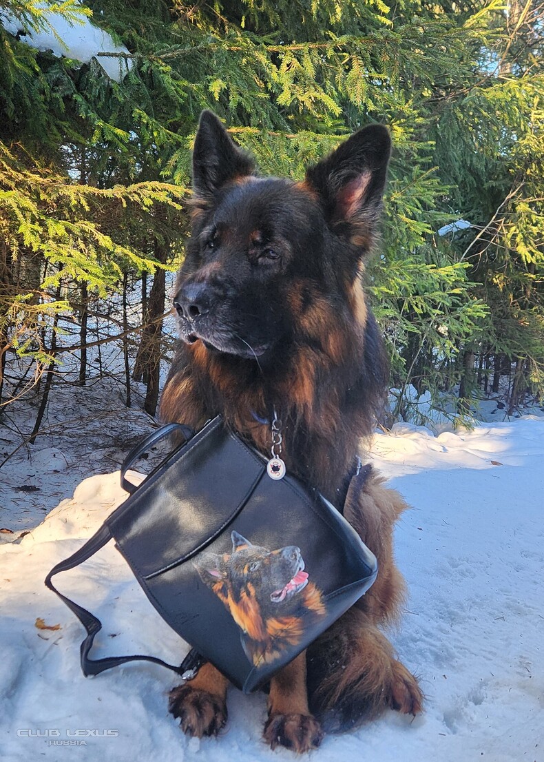 ��� ���� �634 �������������������