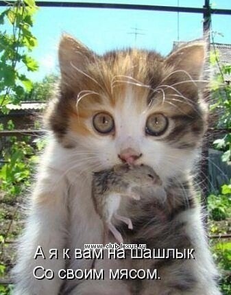  !