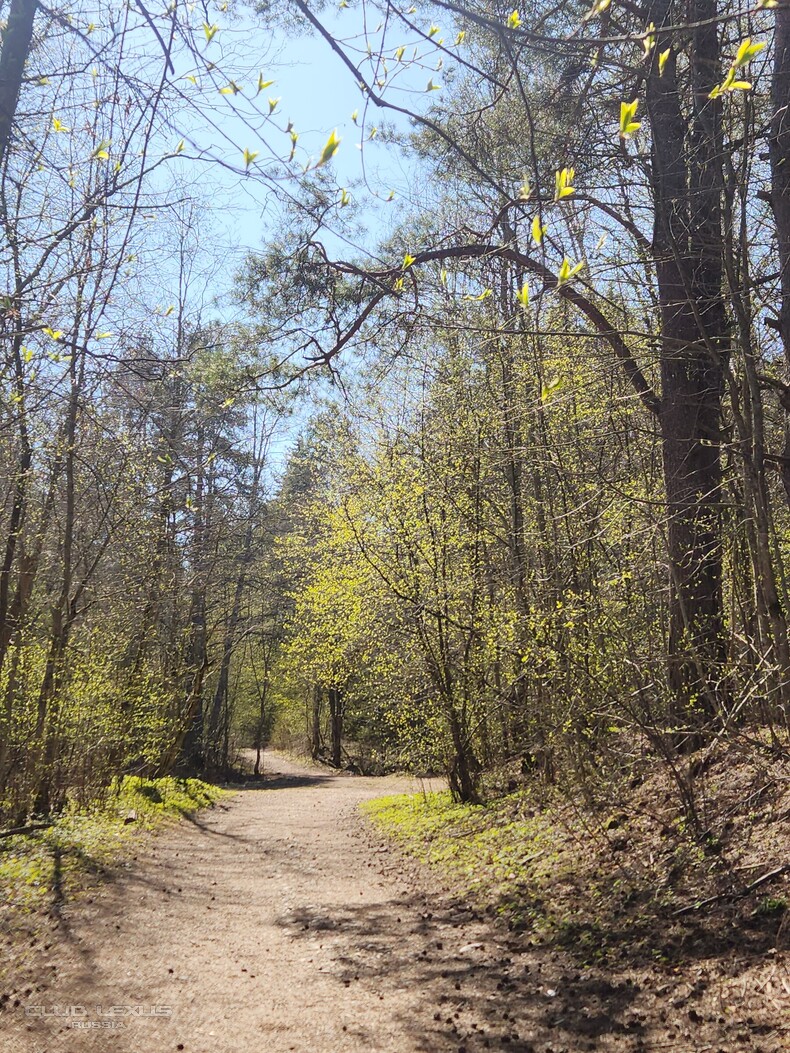 ��� ���� �636 ������������������������������