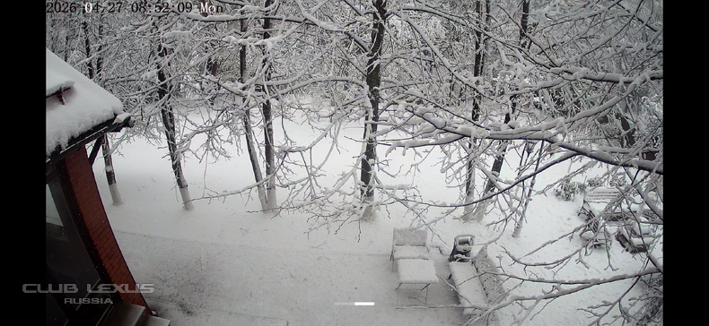 ��� ���� �636 ������������������������������