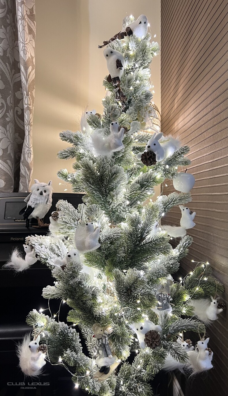 ��� ���� �631 ��������������