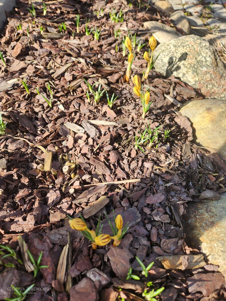 ��� ���� �635 ��������������������������