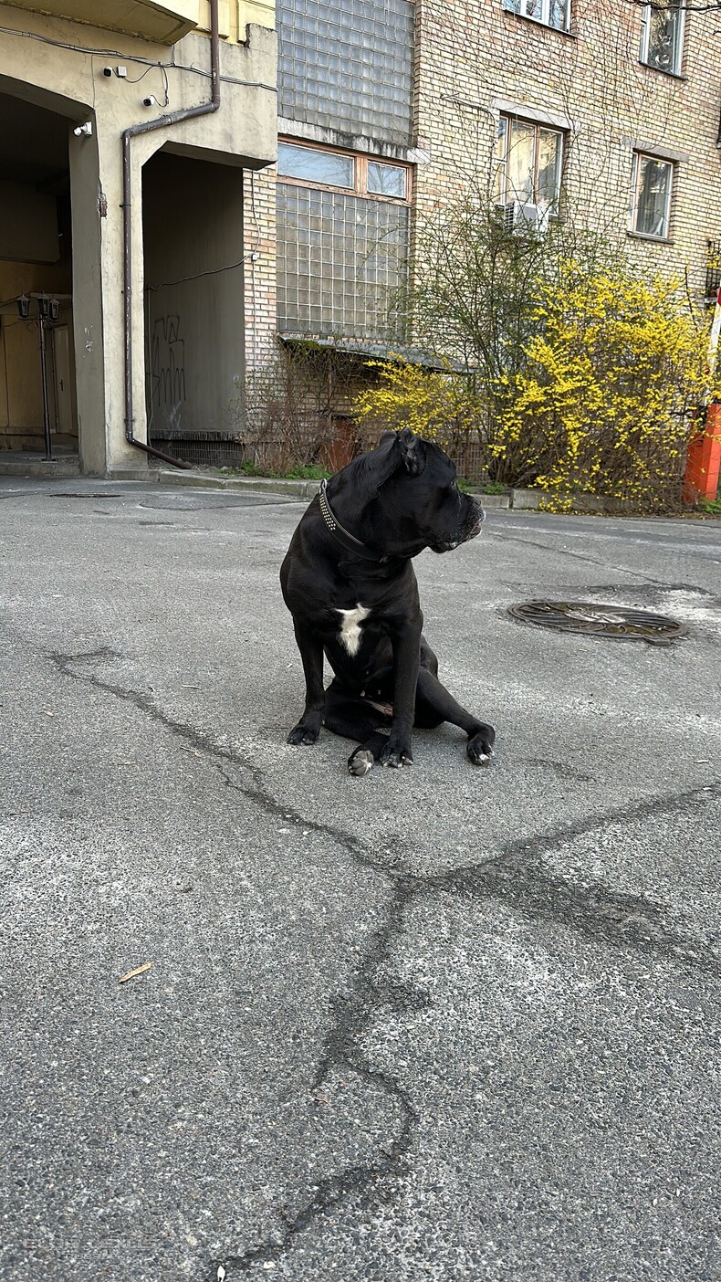 ��� ���� � 604 �����������������