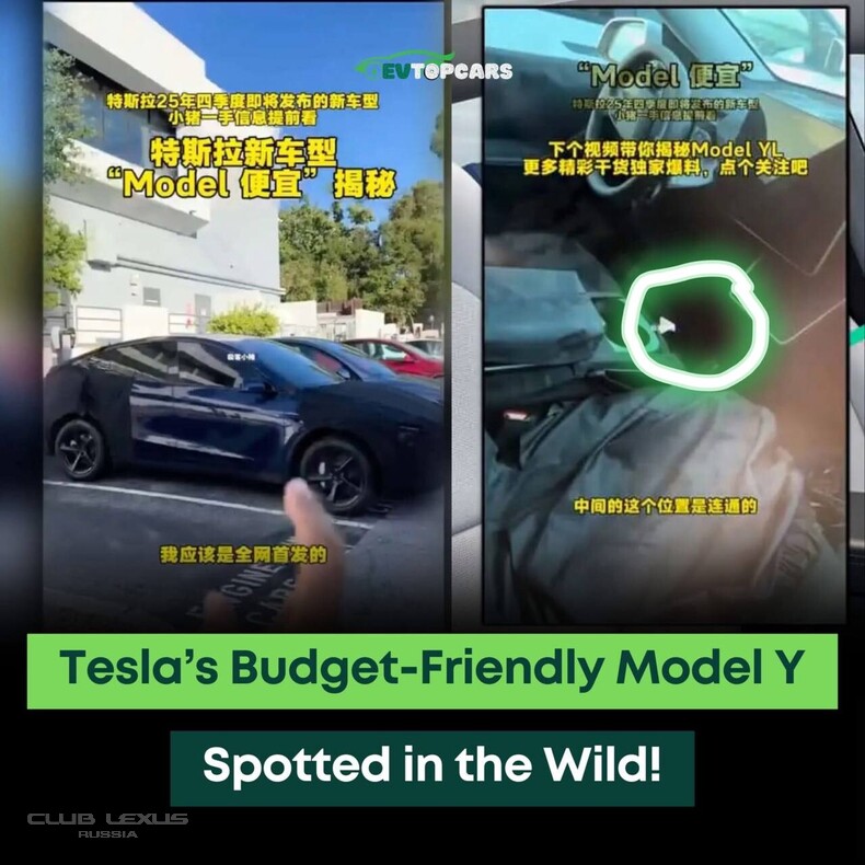 TESLA Y -  .