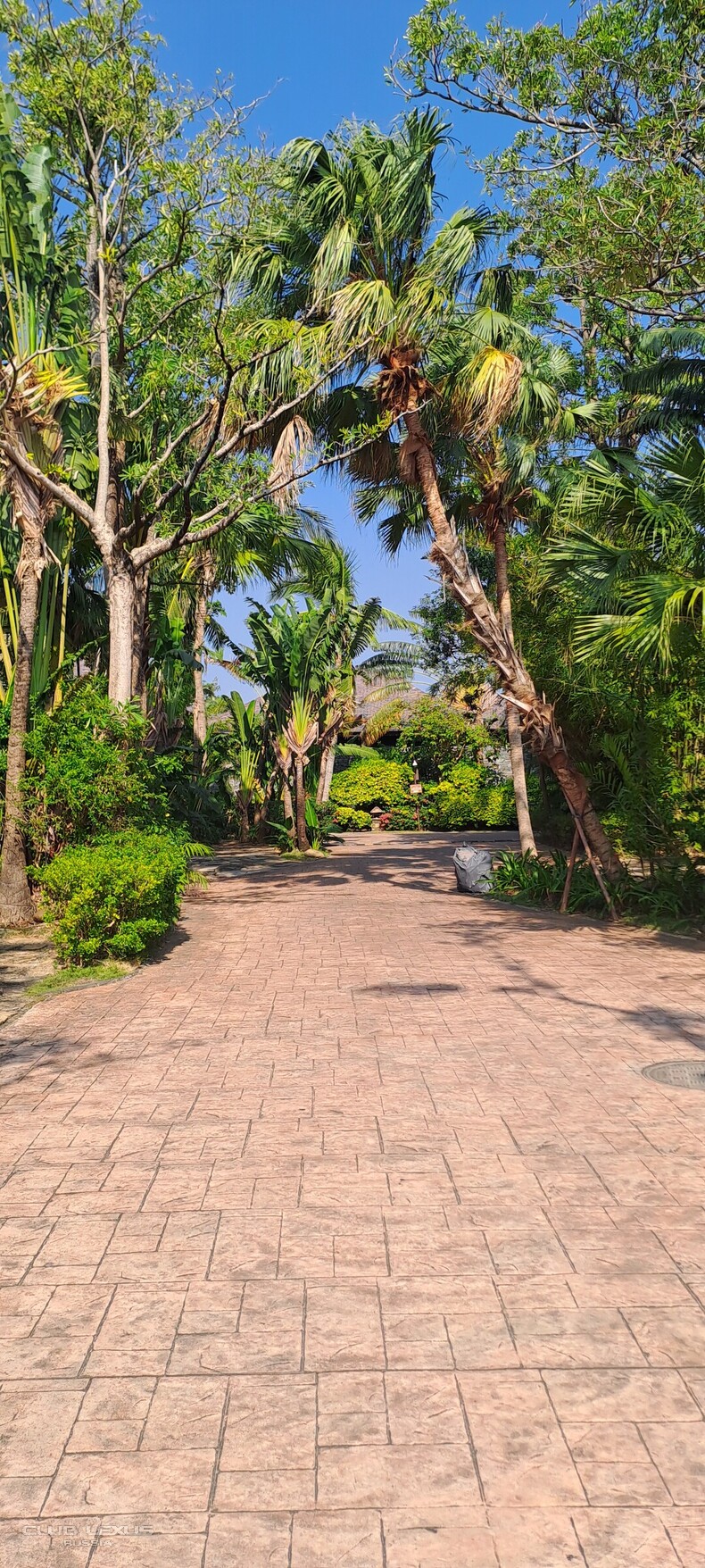 ��� ���� �635 ��������������������������