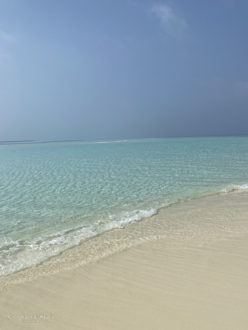 ��� ���� �631 ��������������