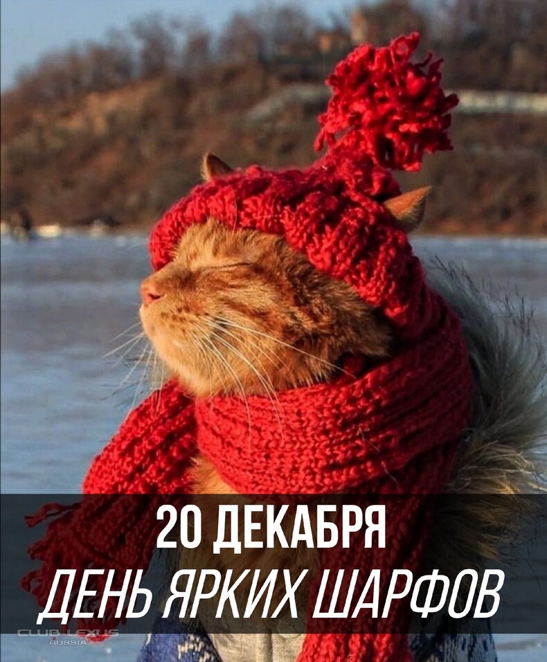 ��� ���� �631 ��������������