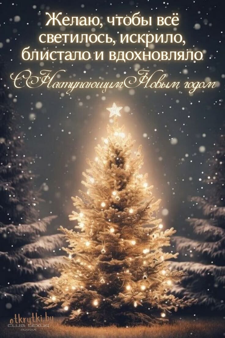 ��� ���� �631 ��������������