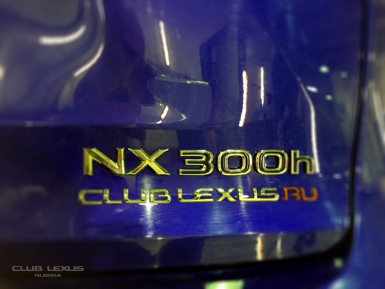   NX   ! ("   NX")