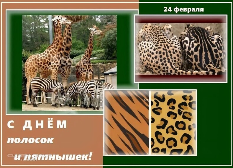 ��� ���� �634 �������������������