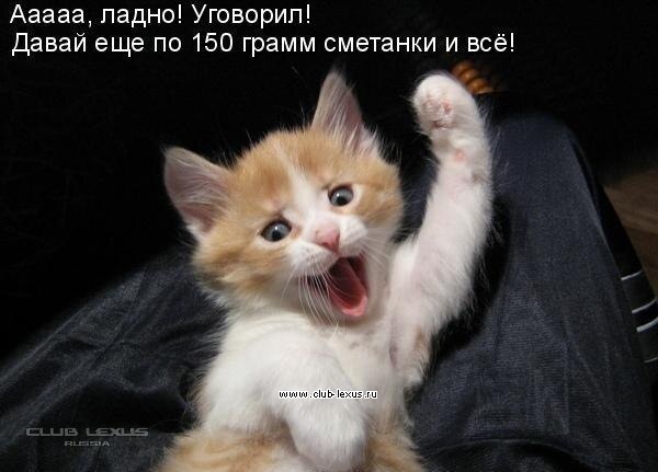  !