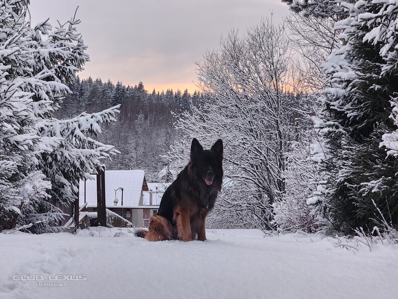 ��� ���� �631 ��������������