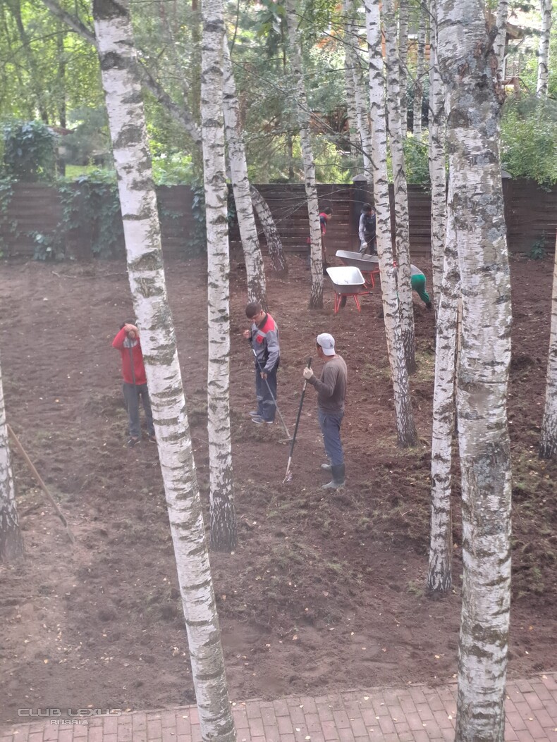 ��� ���� �636 ������������������������������