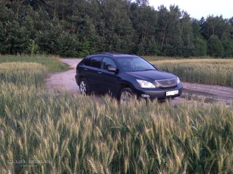  Lexus RX330 