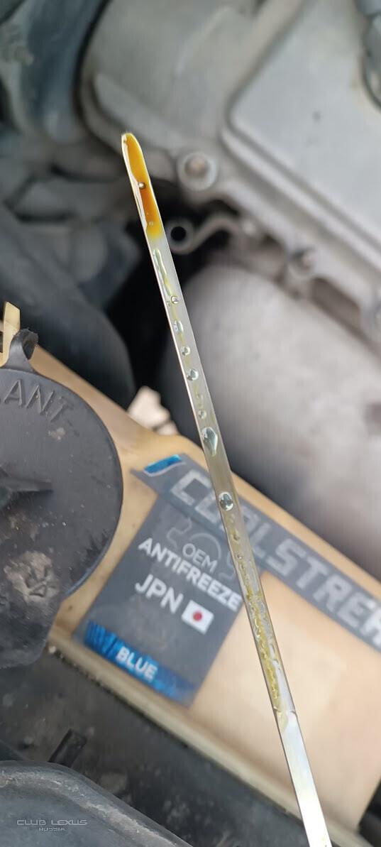 ������ �� ���������