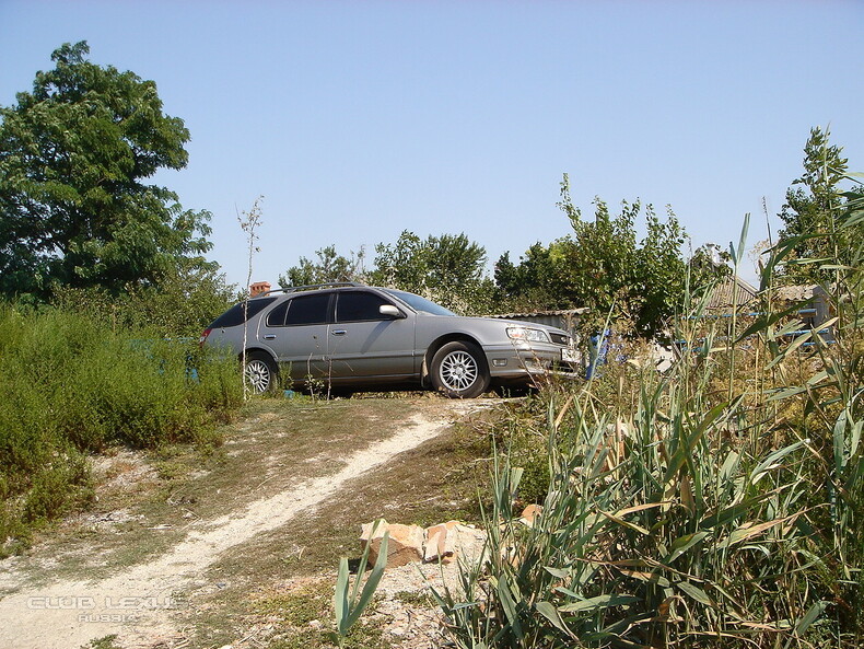    Nissan Maxima