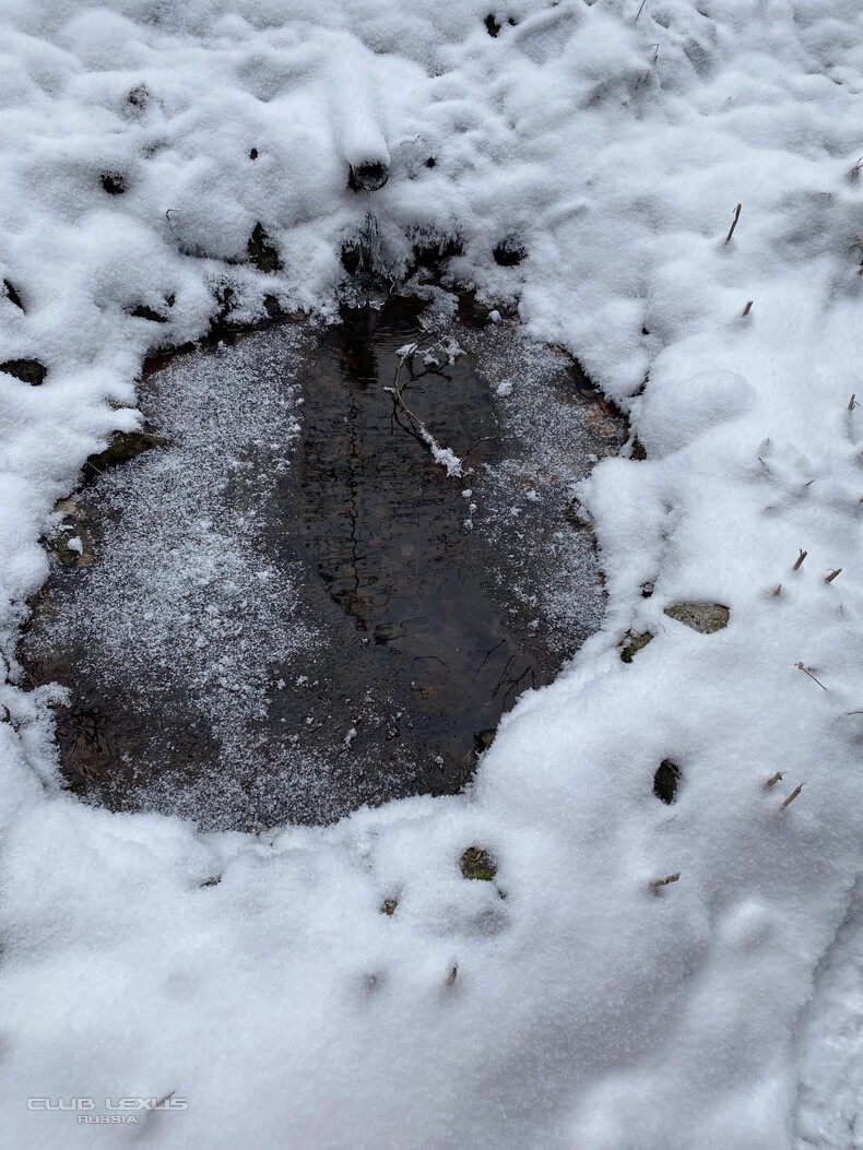 ��� ���� �631 ��������������