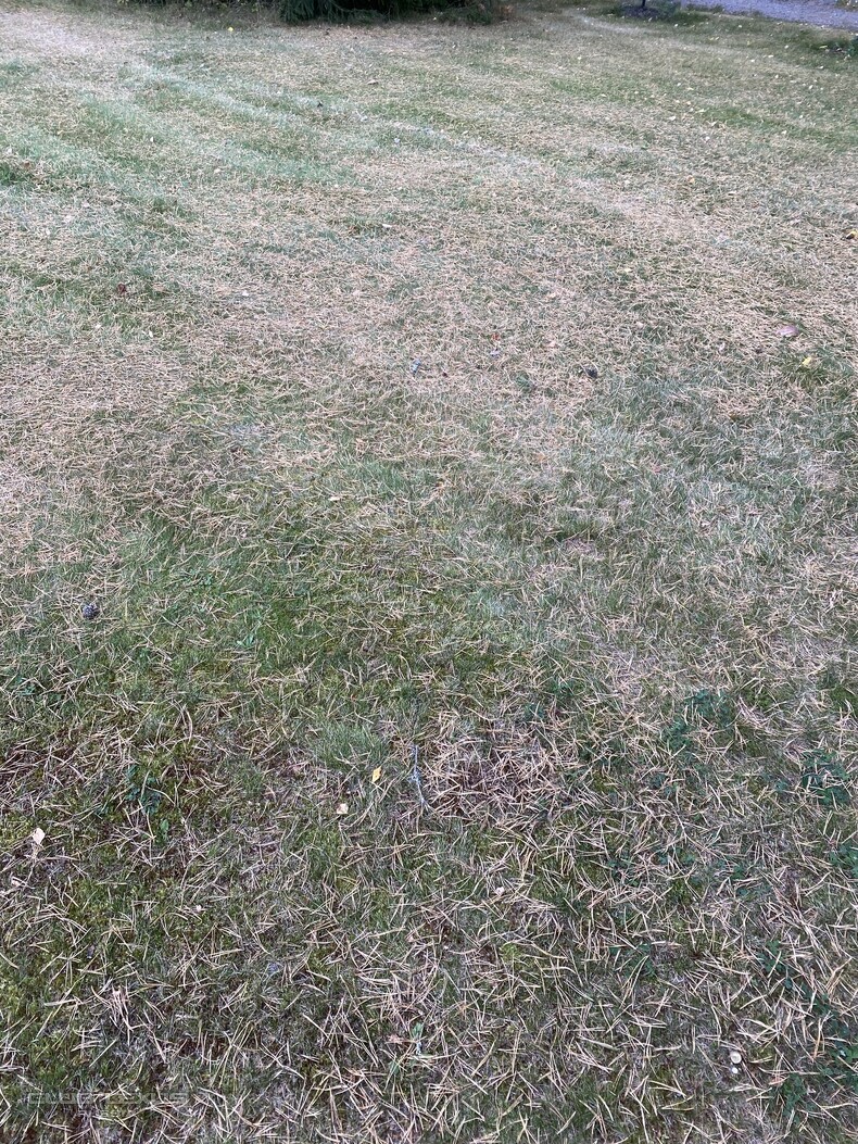   625 ---