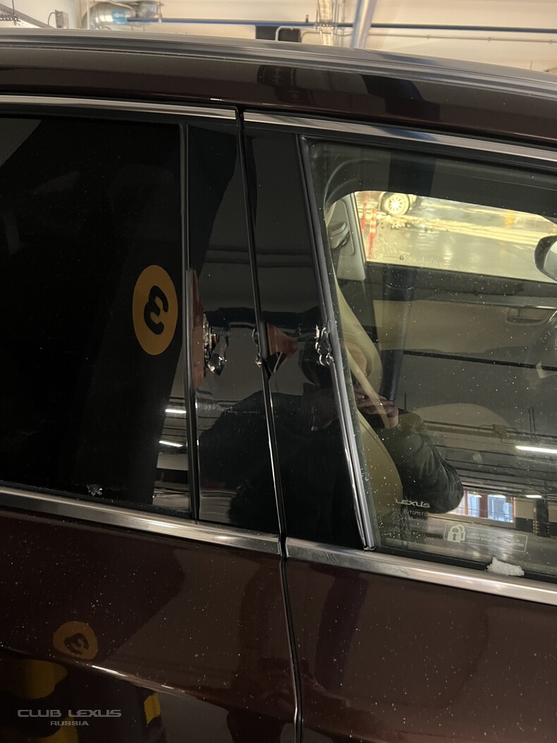 ��� ������ ��������