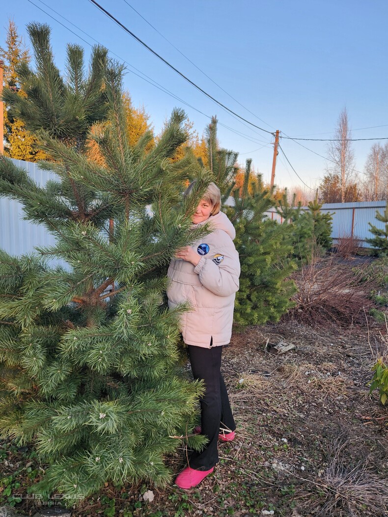 ��� ���� �635 ��������������������������