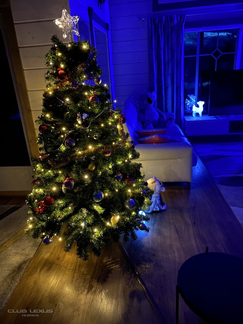 ��� ���� �631 ��������������