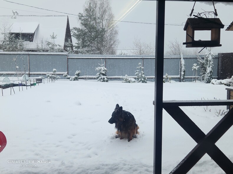 ��� ���� �636 ������������������������������