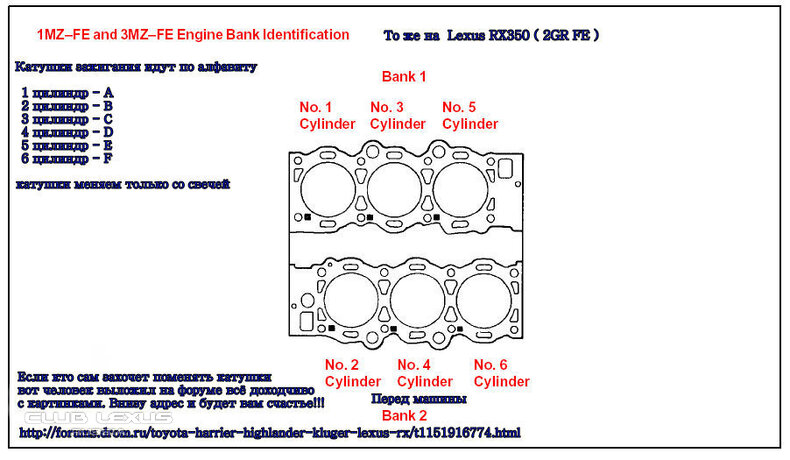   (Check + VSC  )