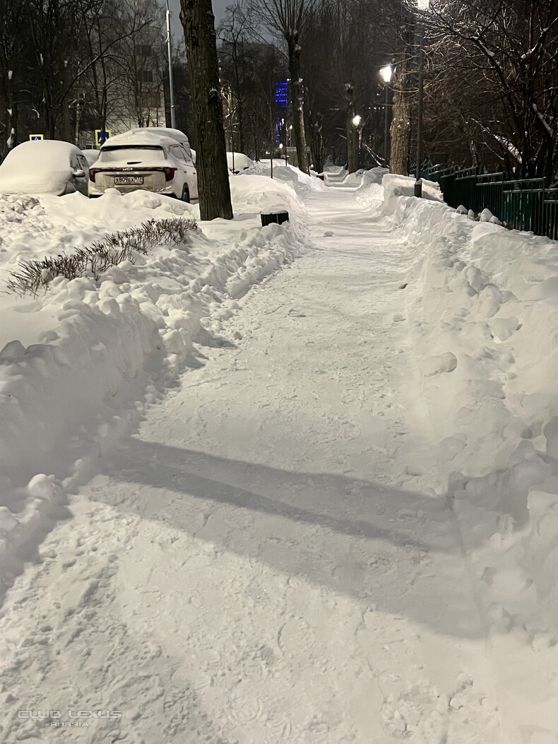 ��� ���� �631 ��������������