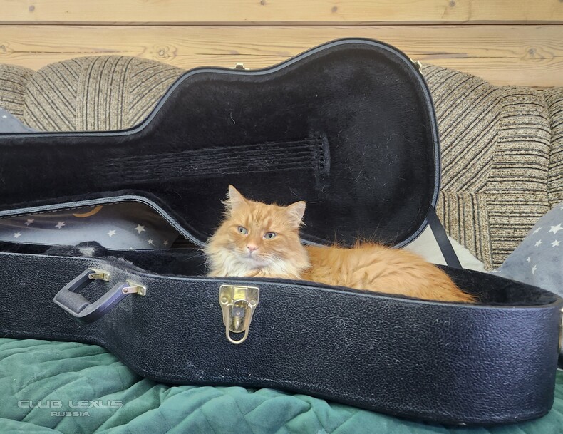 ��� ���� �634 �������������������