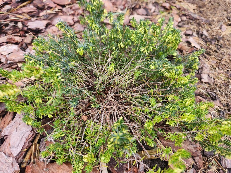 ��� ���� � 604 �����������������